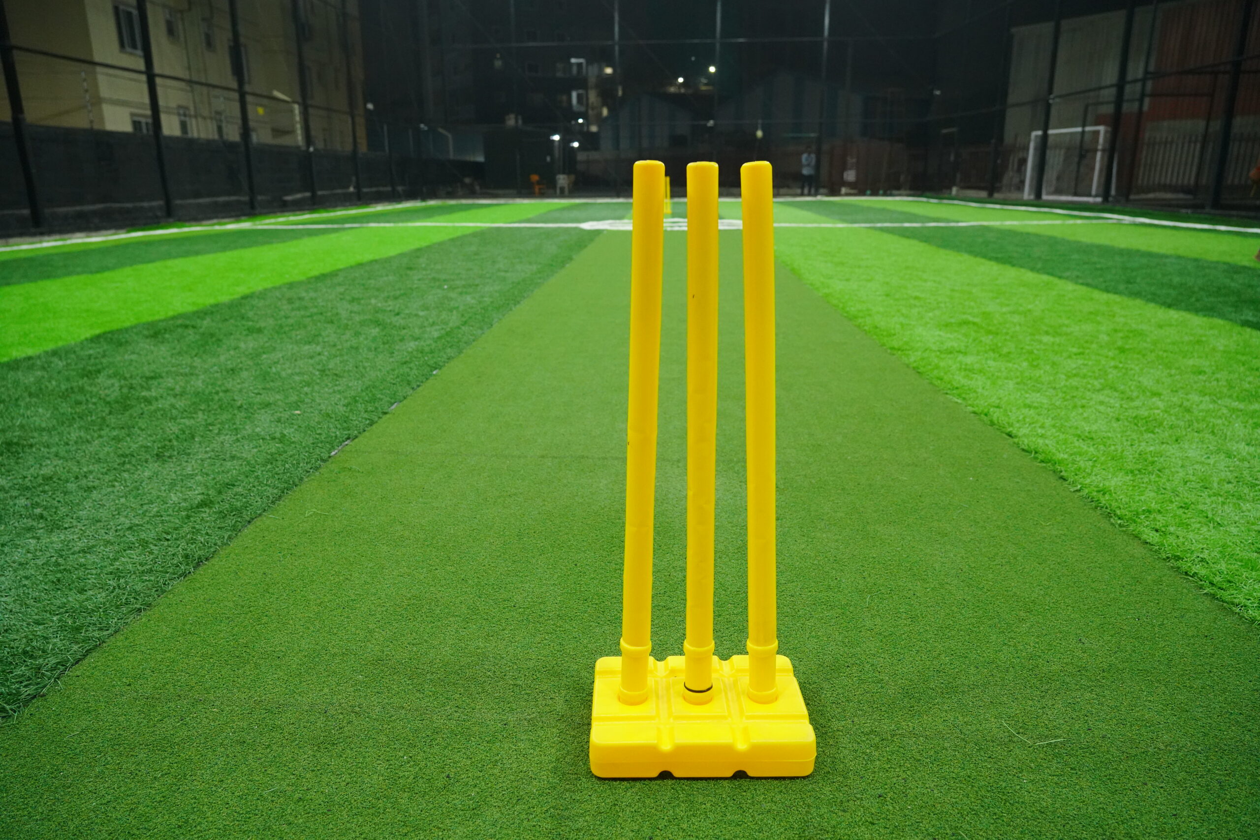 Cricket